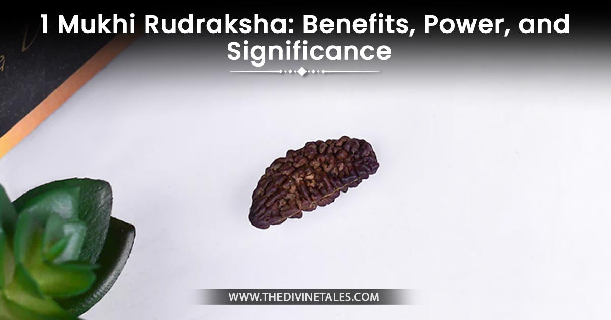 1 Mukhi Rudraksha