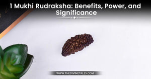 1 Mukhi Rudraksha: Benefits, Power, and Significance