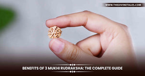 Benefits of 3 Mukhi Rudraksha: The Complete Guide