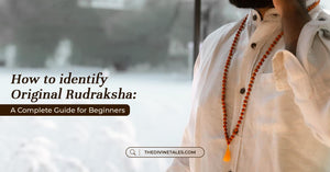 How to Identify Original Rudraksha: A Complete Guide for Beginners