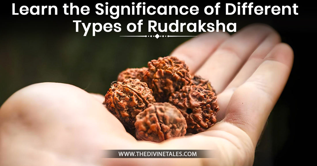 Different Types of Rudraksha