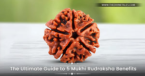 The Ultimate Guide to 5 Mukhi Rudraksha Benefits