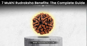 7 Mukhi Rudraksha Benefits: The Complete Guide