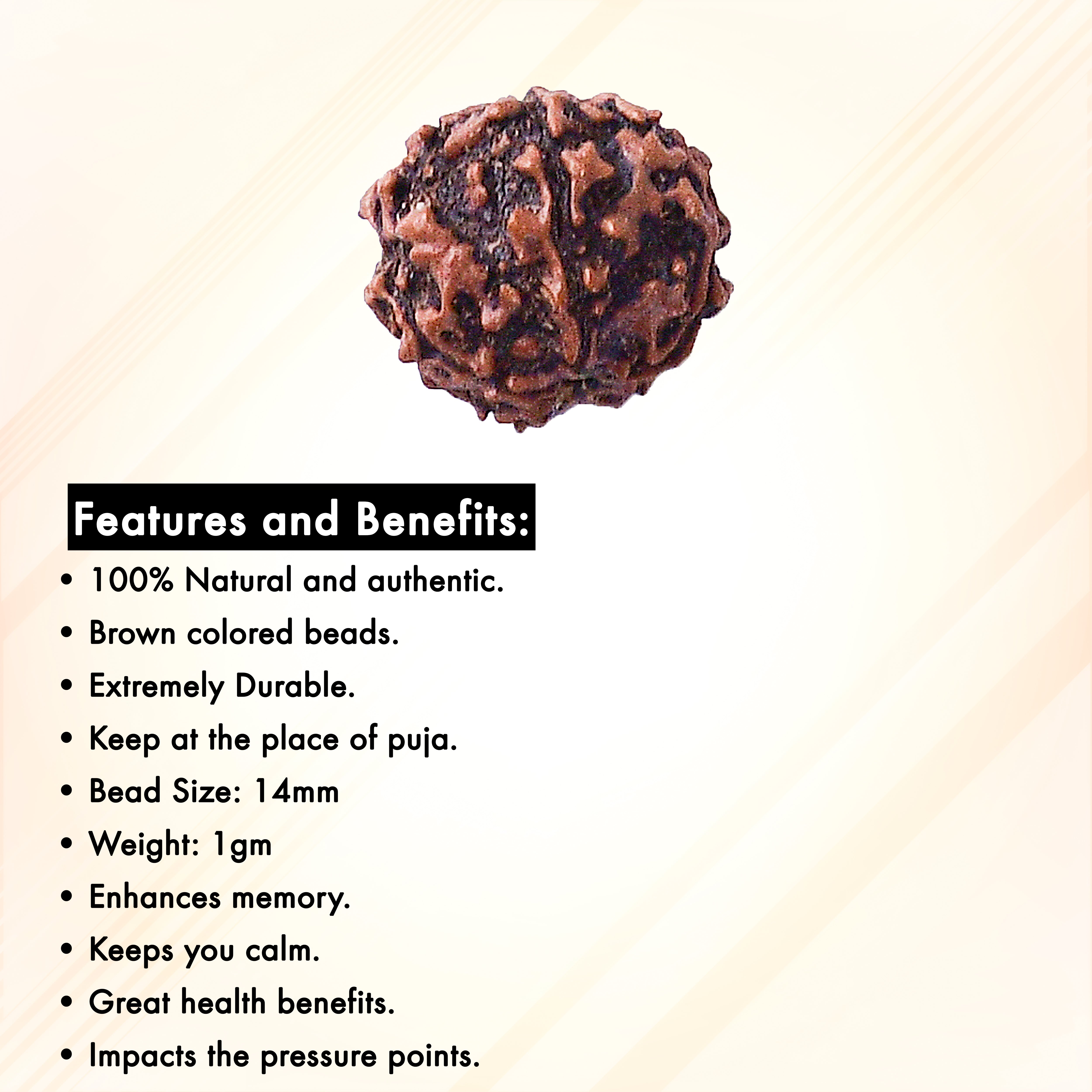 5 Mukhi Rudraksha With Lab Certificate