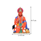 Lord Hanuman Multicolour Idol