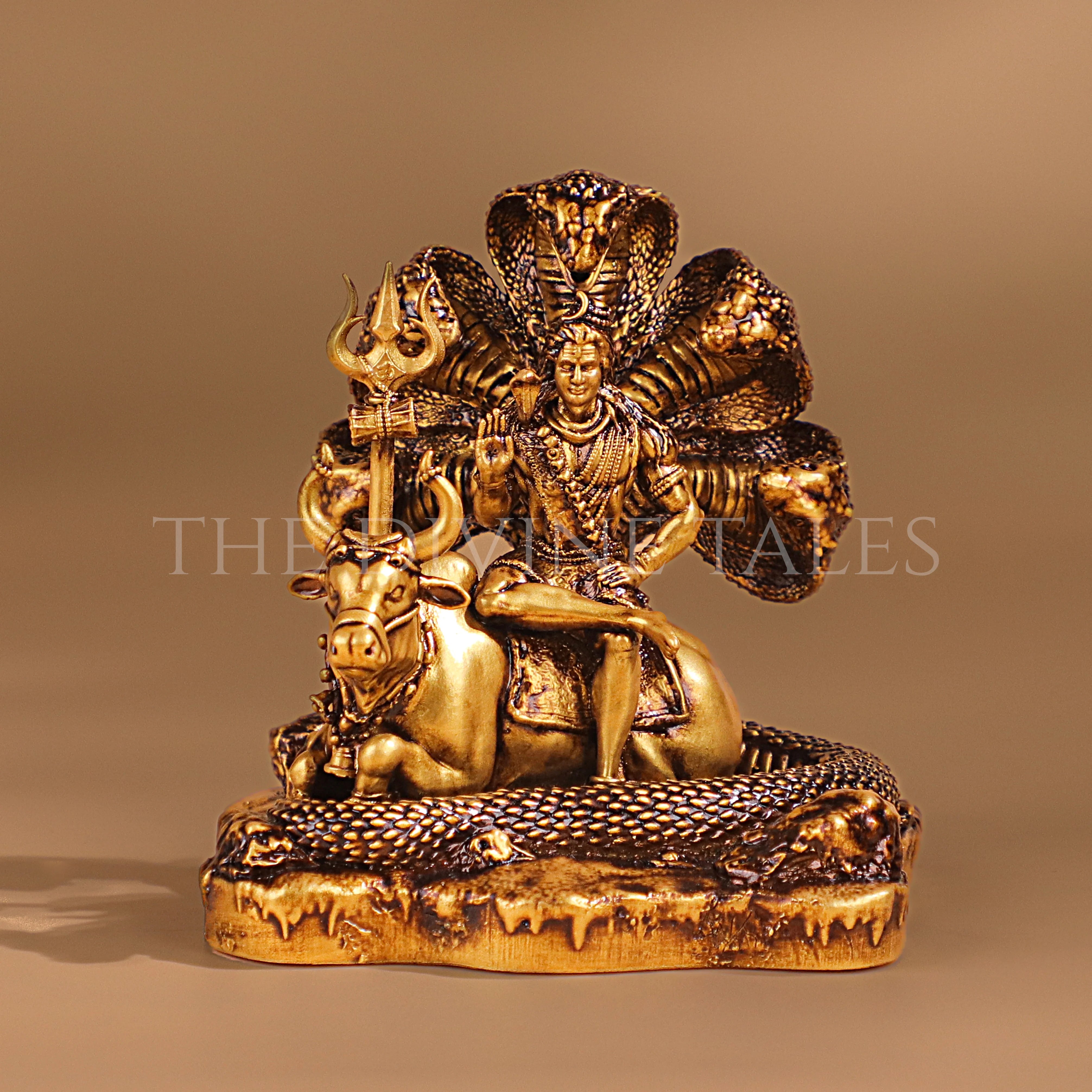 Shiv-Nandi Car Dashboard