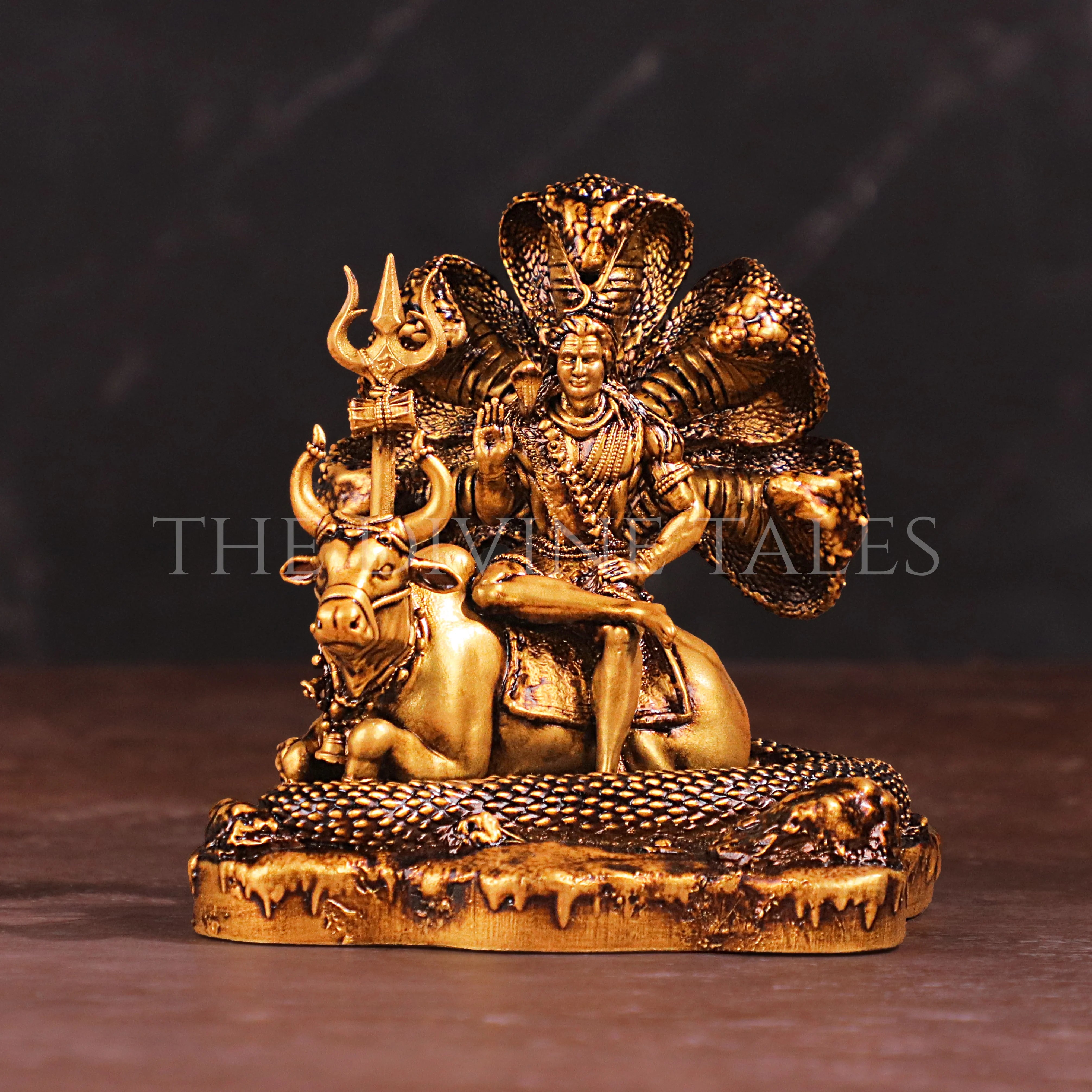 Shiv-Nandi Car Dashboard