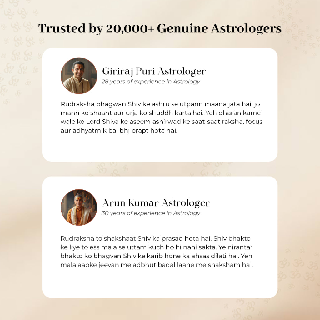 Divine Rudraksha Golden Cap Mala – Single Bead Spiritual Necklace