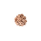 3 Mukhi Rudraksha