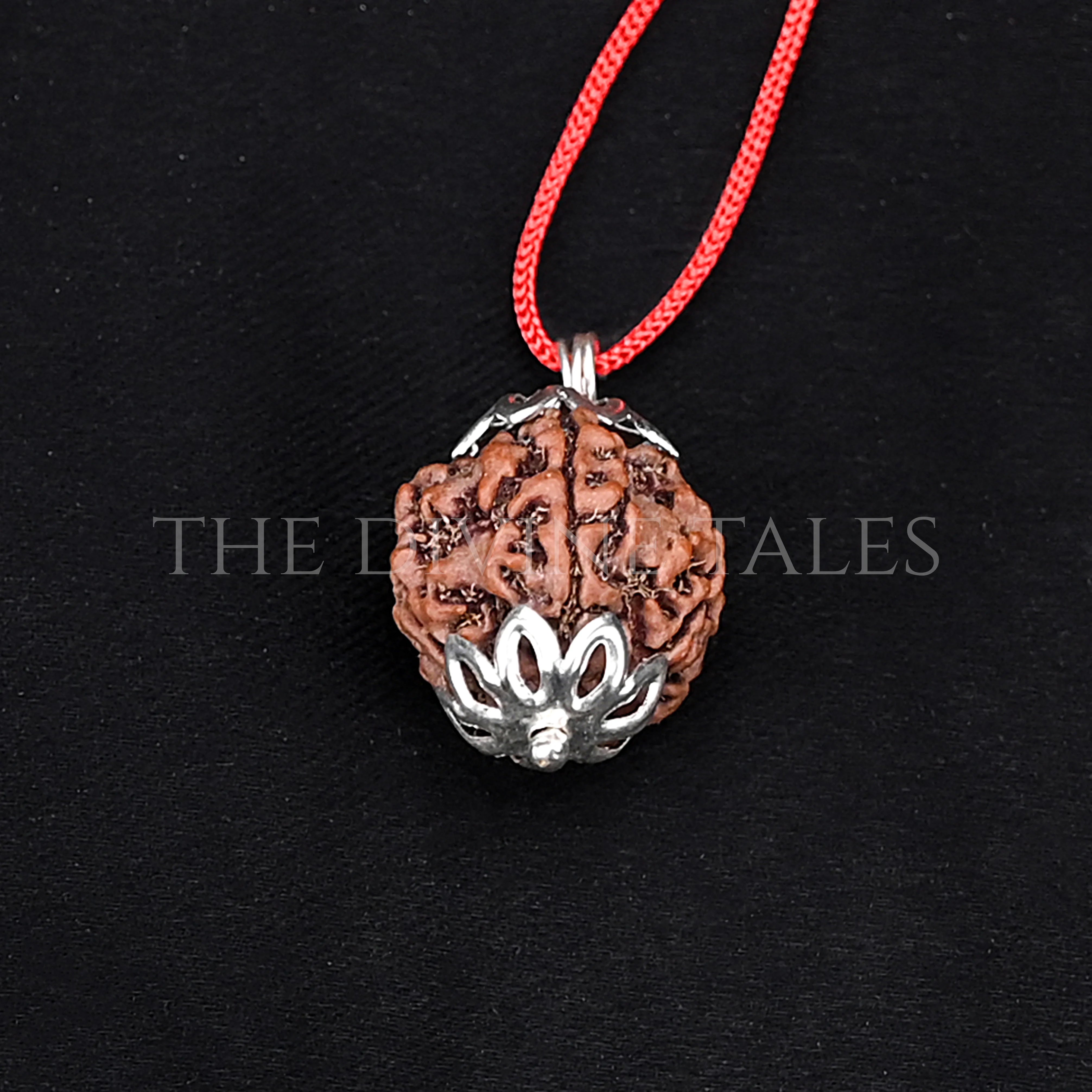 6 Mukhi Rudraksha