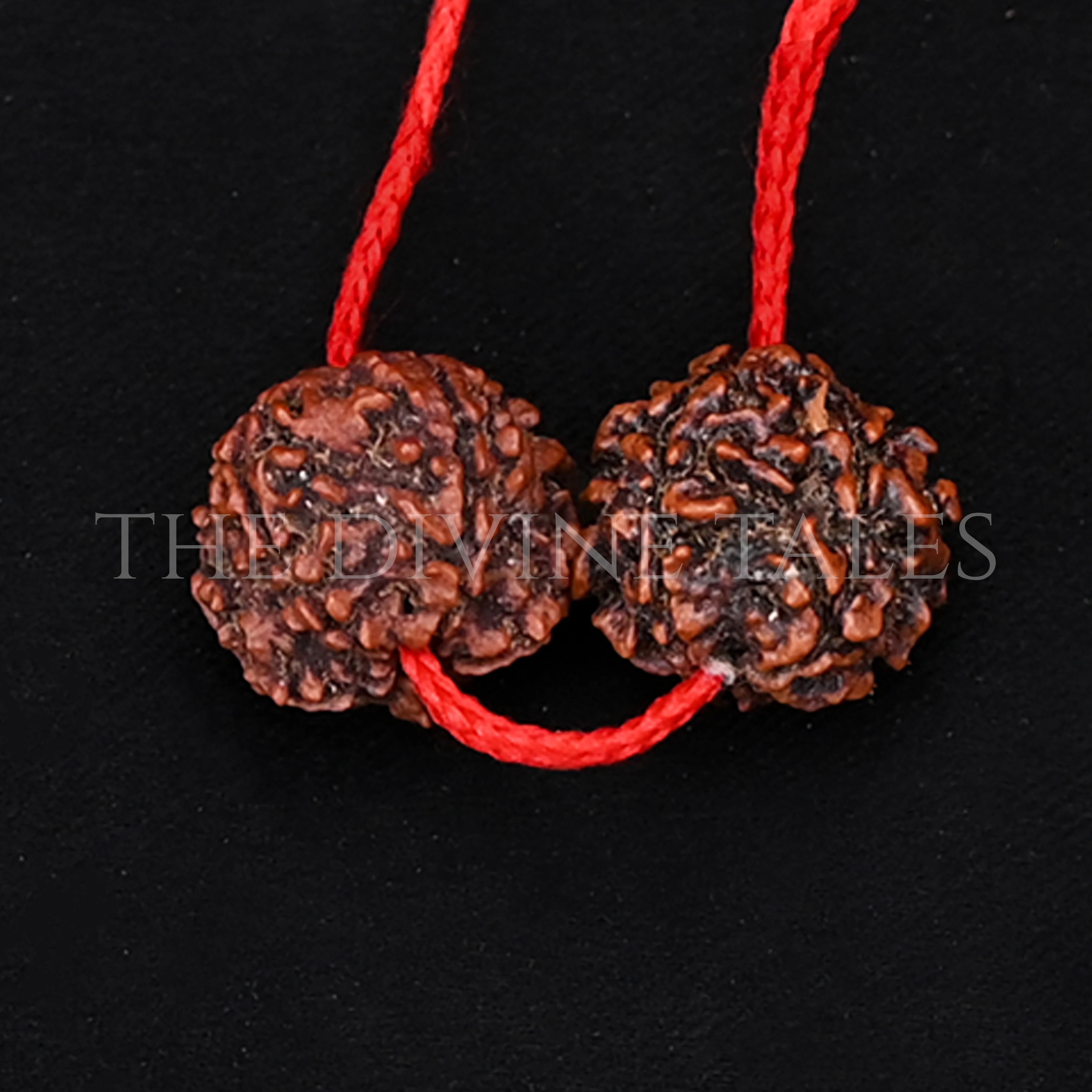 5 Mukhi Rudraksh Dhaga With Lab Certificate