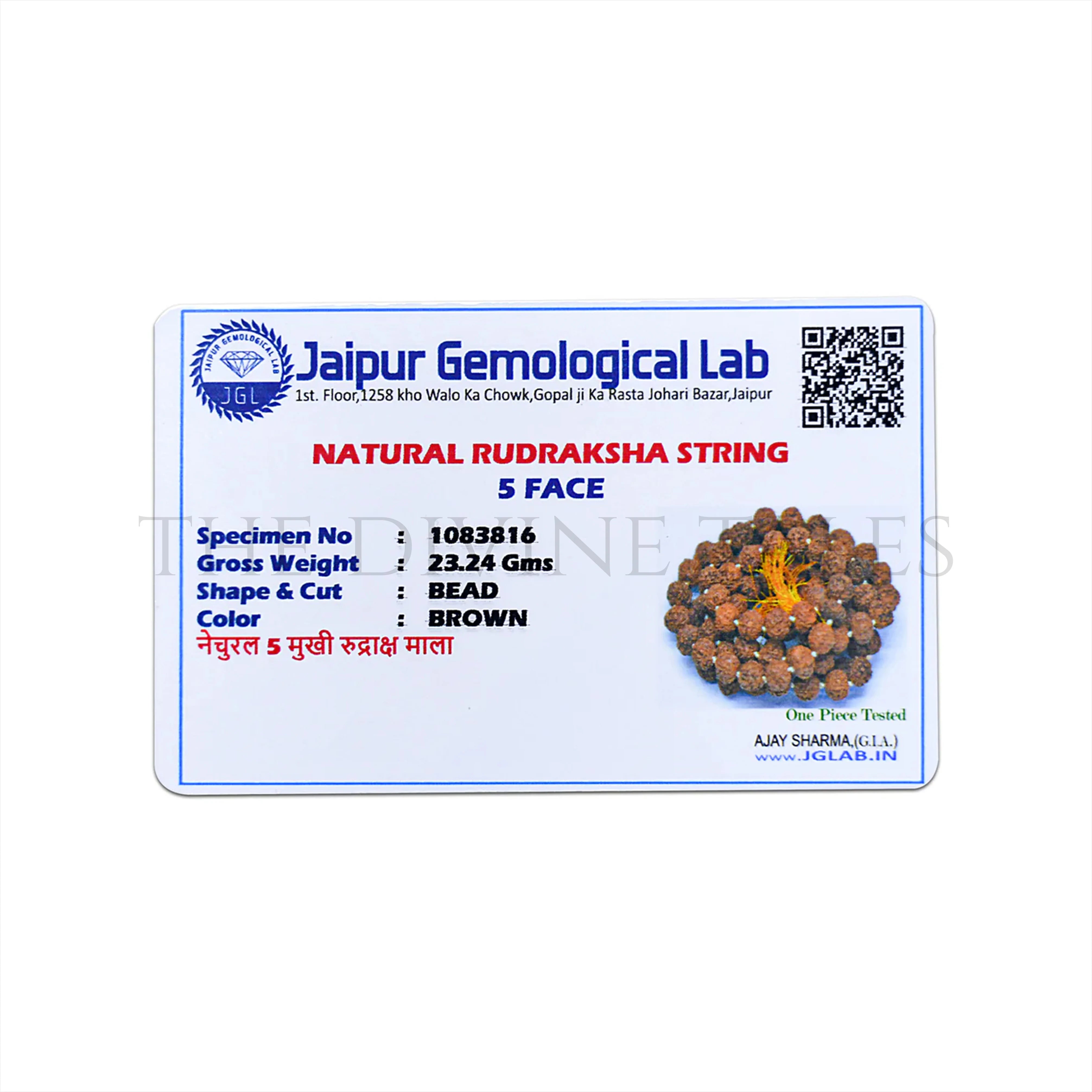 Rudraksh Mala With Lab Certificate