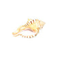 Ganesh Shankh (Conch Shell) Non Blowing Conch Shell