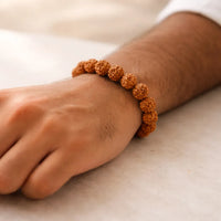 Rudraksha