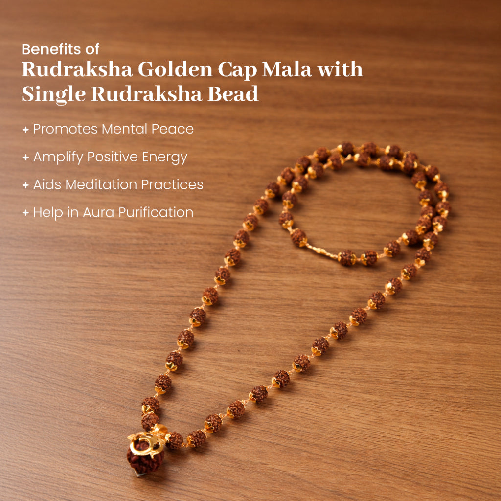 Divine Rudraksha Golden Cap Mala – Single Bead Spiritual Necklace