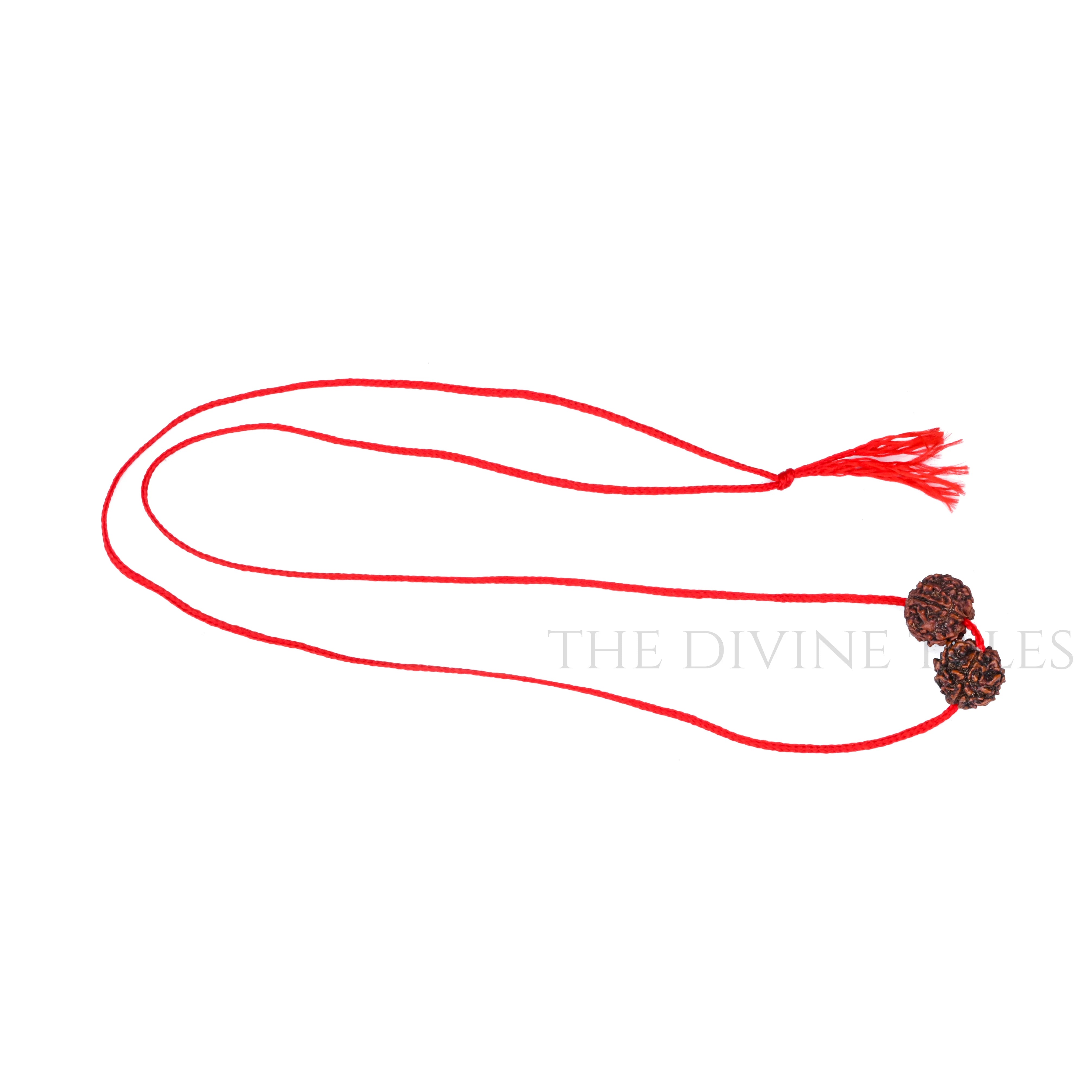 5 Mukhi Rudraksh Dhaga With Lab Certificate