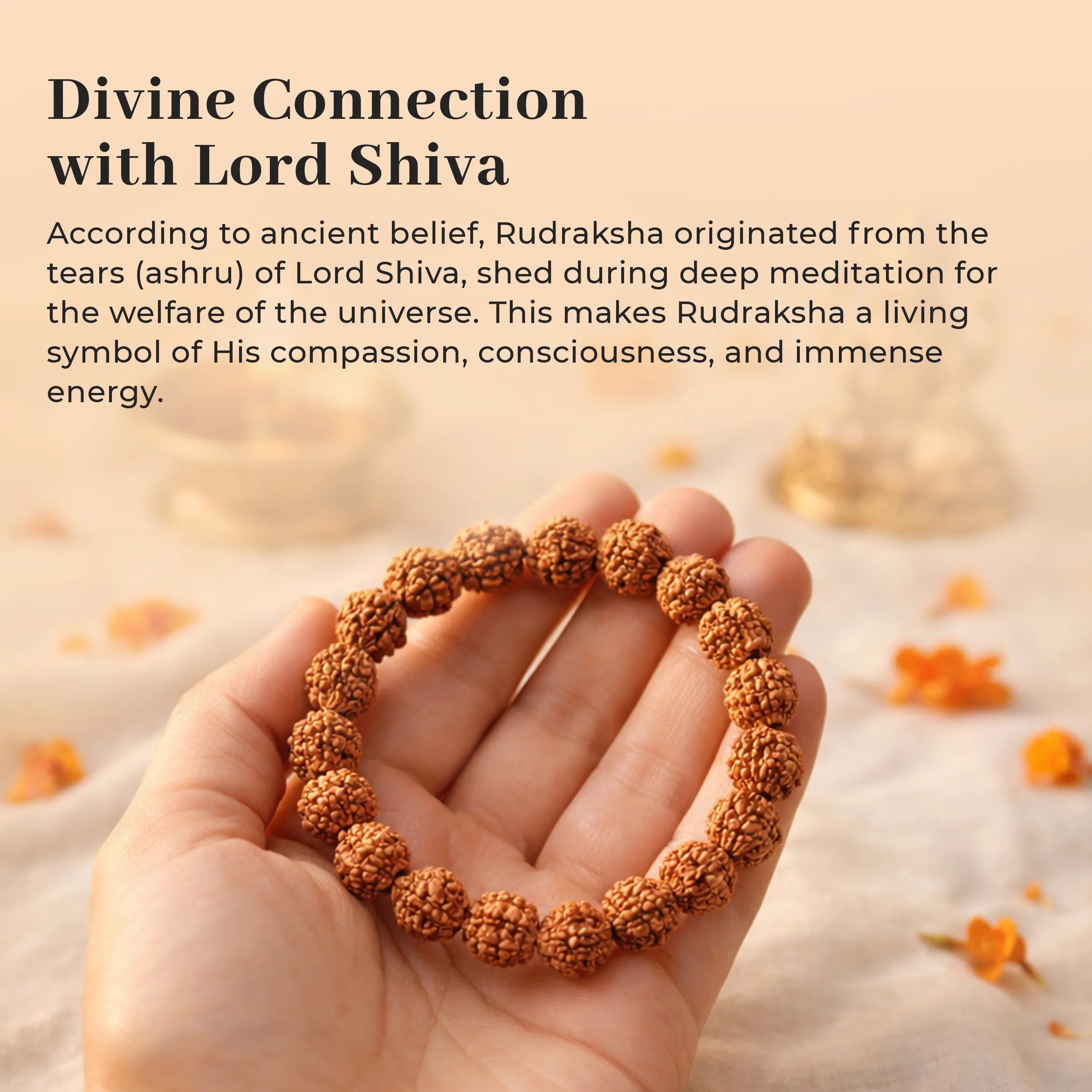5 Mukhi Rudraksha Bracelet