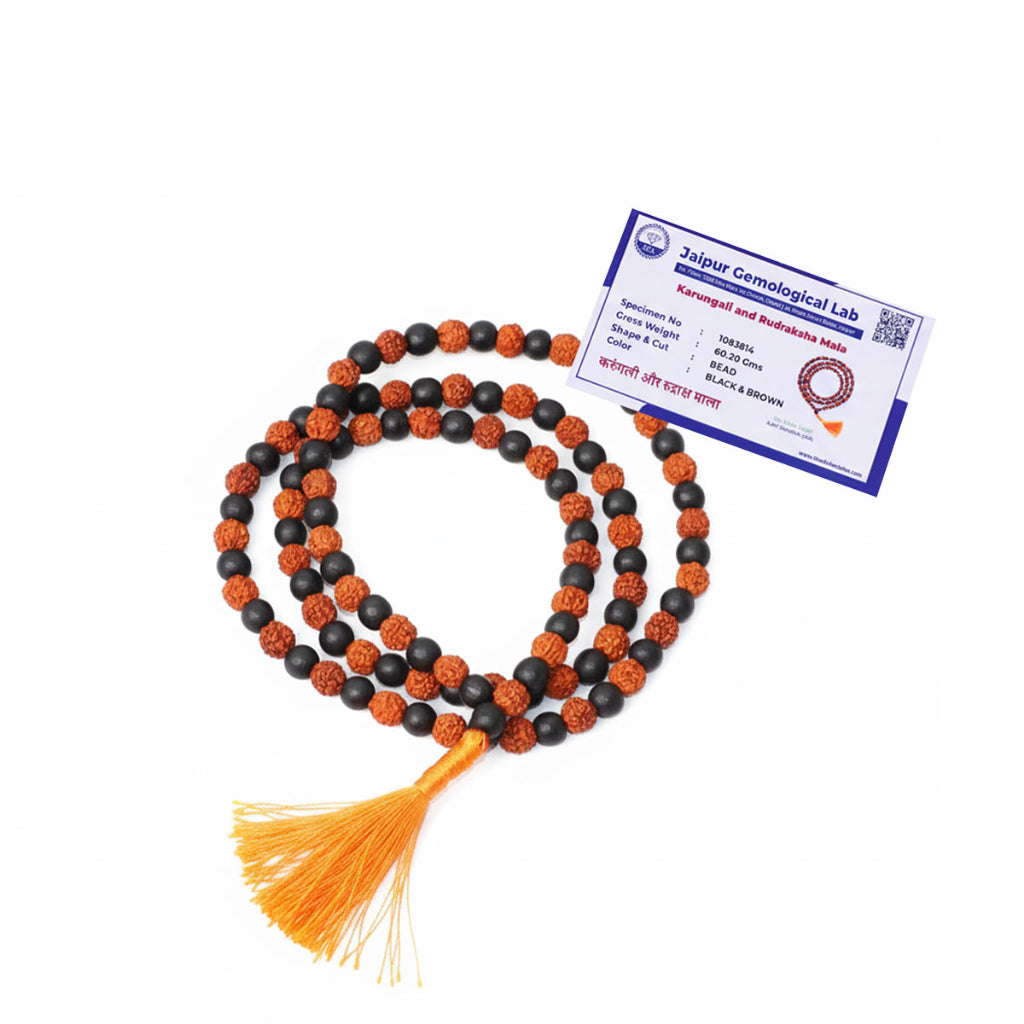 Karungali and Rudraksha Mala