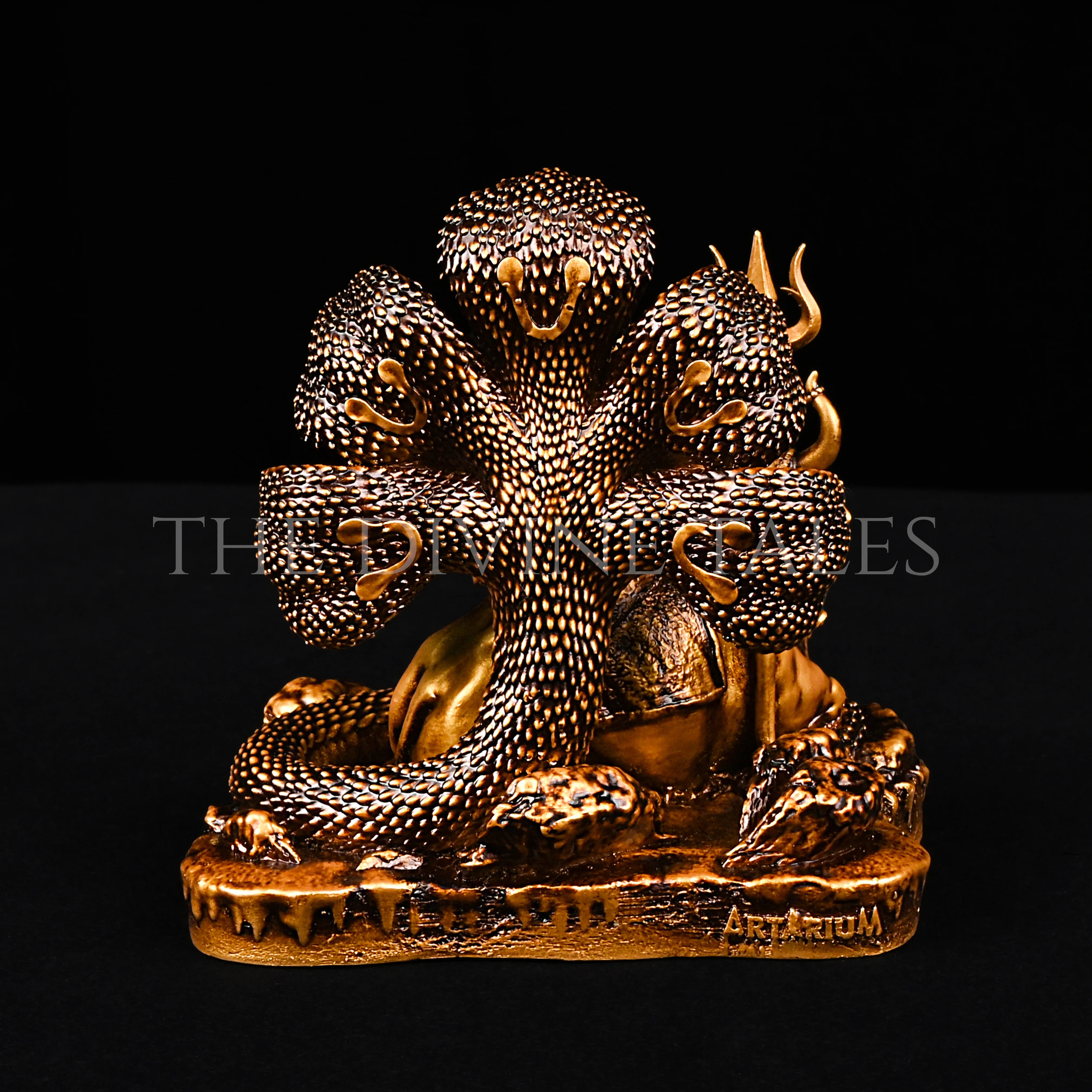 Shiv-Nandi Car Dashboard