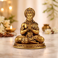 Devotional Lord Hanuman Ji Murti