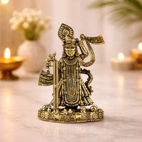 Brass Shrinathji Idol