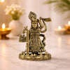 Brass Shrinathji Idol