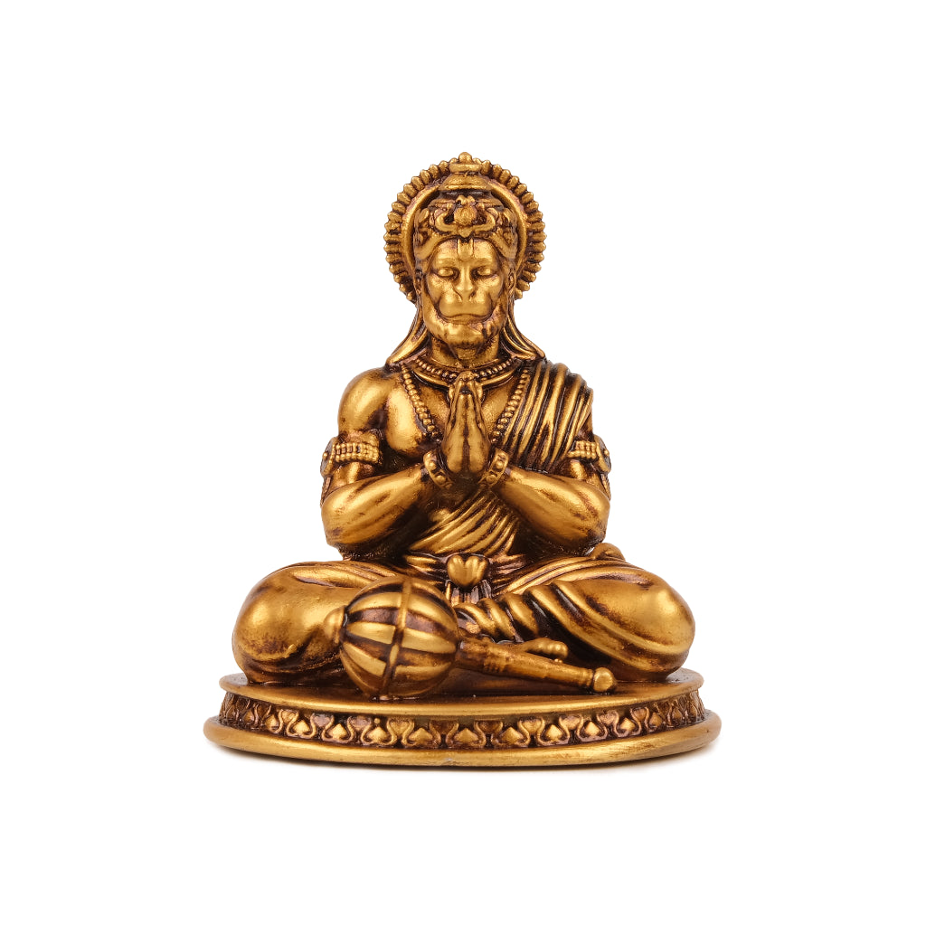 Devotional Lord Hanuman Ji Murti