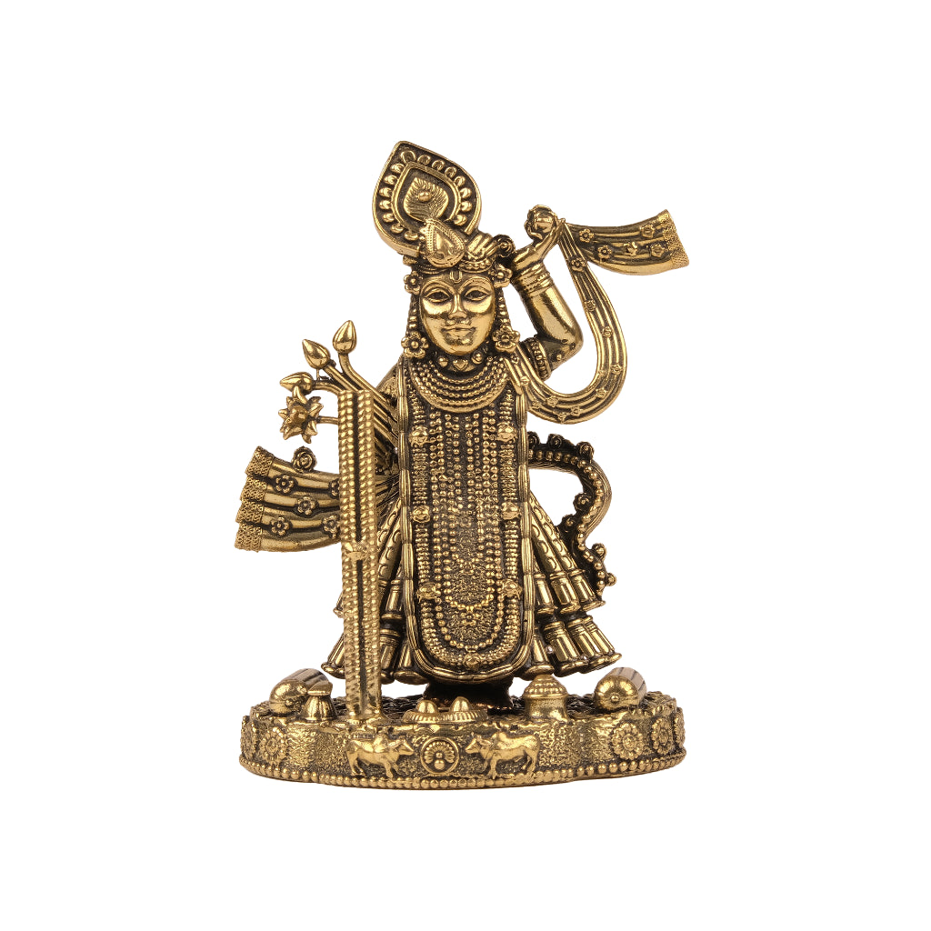 Brass Shrinathji Idol