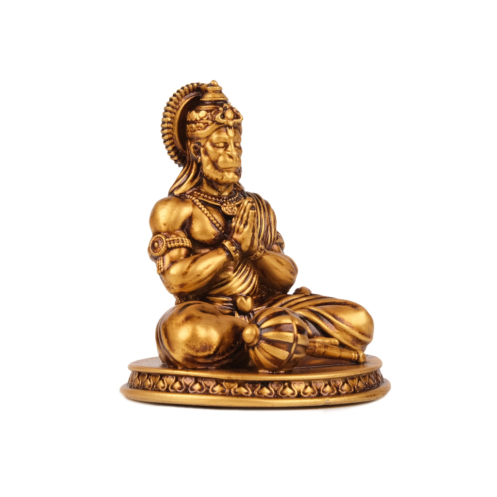 Devotional Lord Hanuman Ji Murti