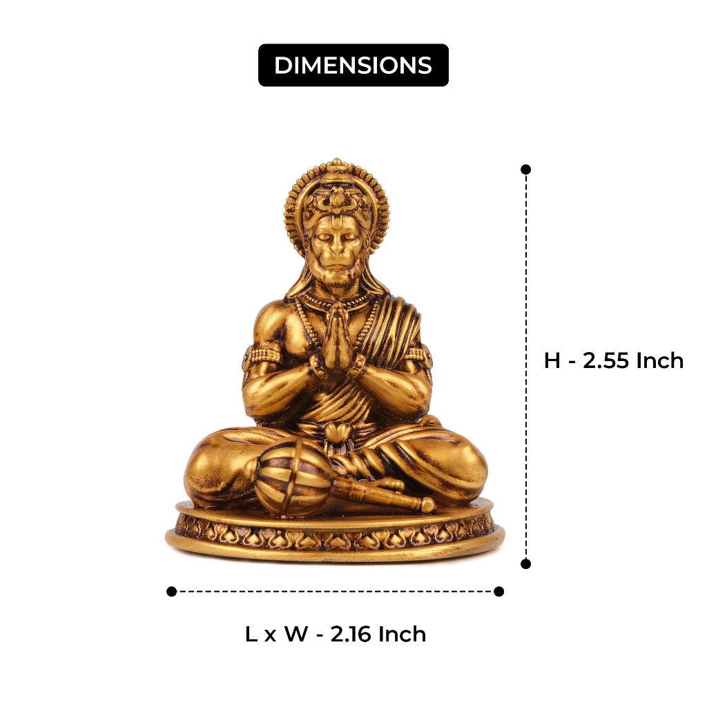 Devotional Lord Hanuman Ji Murti