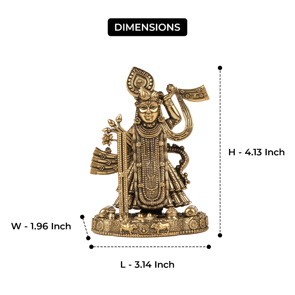Brass Shrinathji Idol
