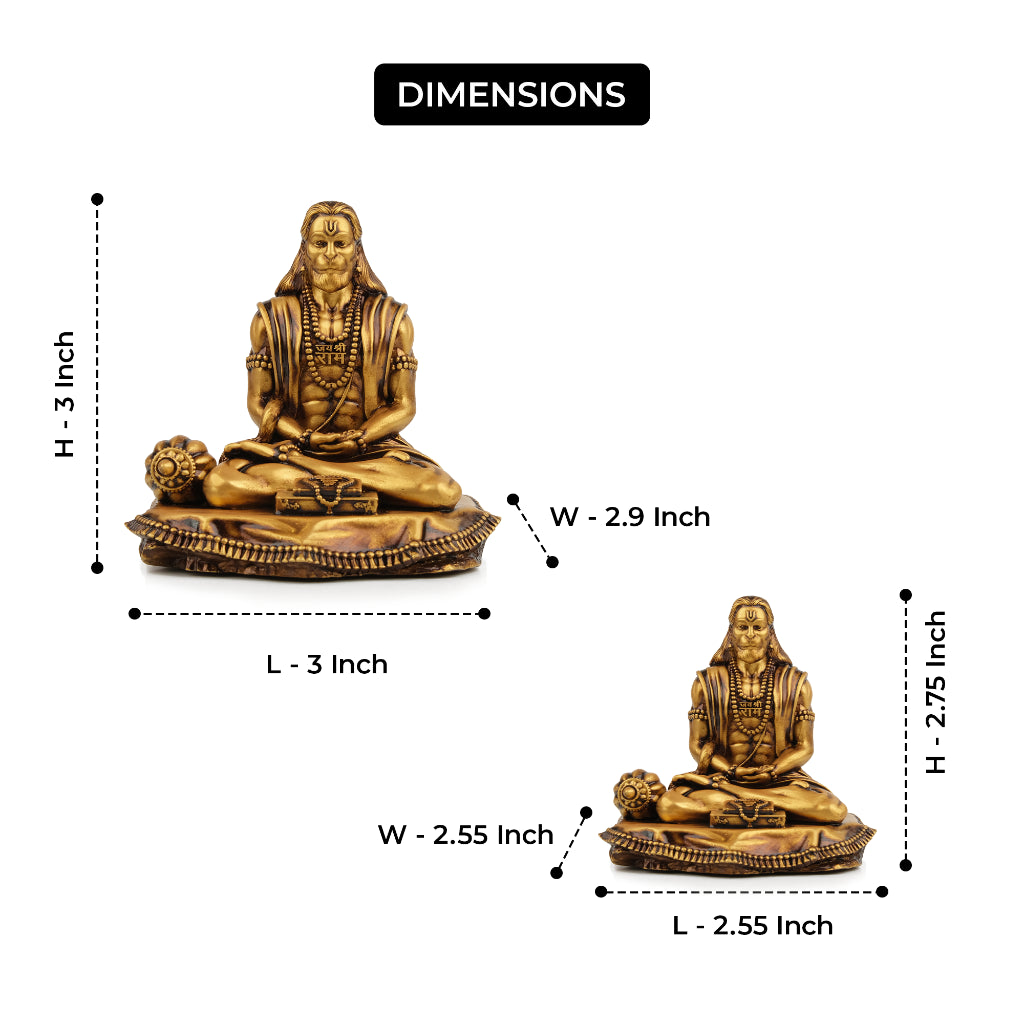 Sankat Mochan Hanuman Idol