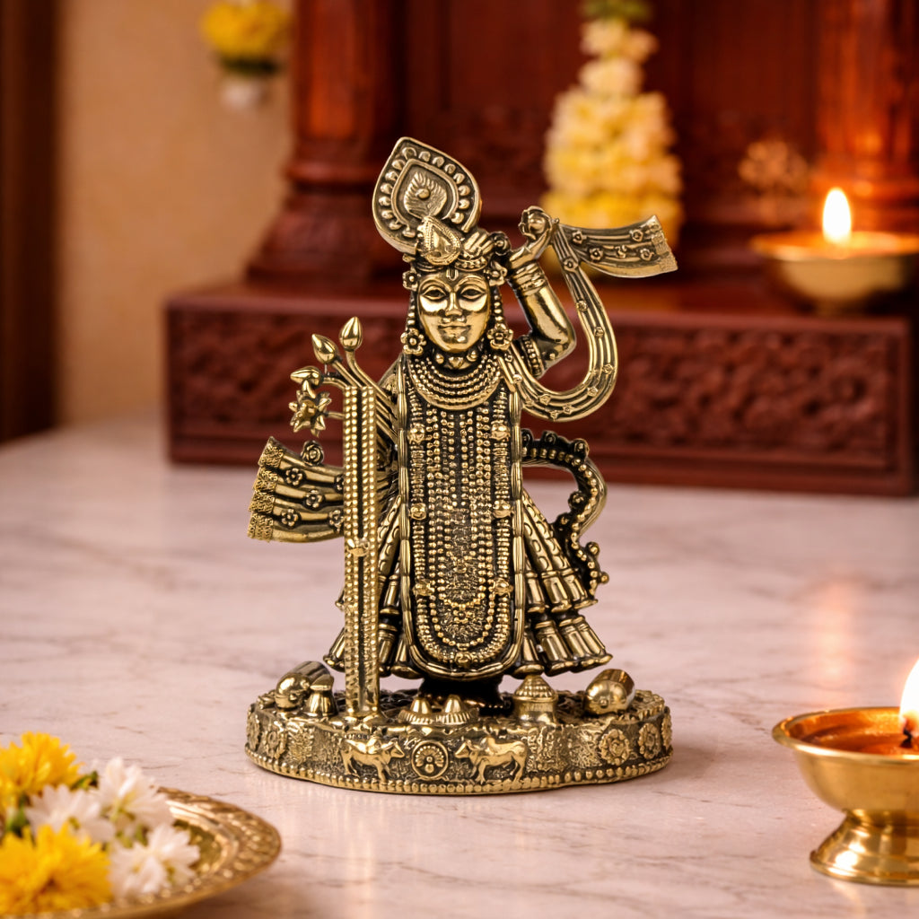 Brass Shrinathji Idol