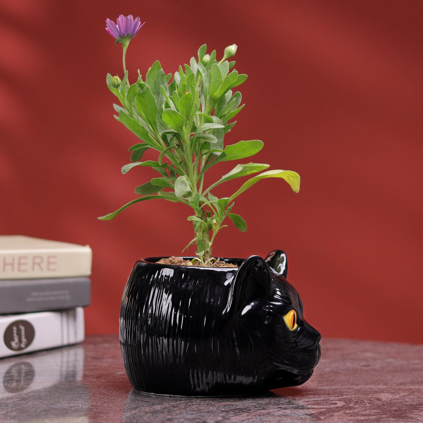 Cat Planter