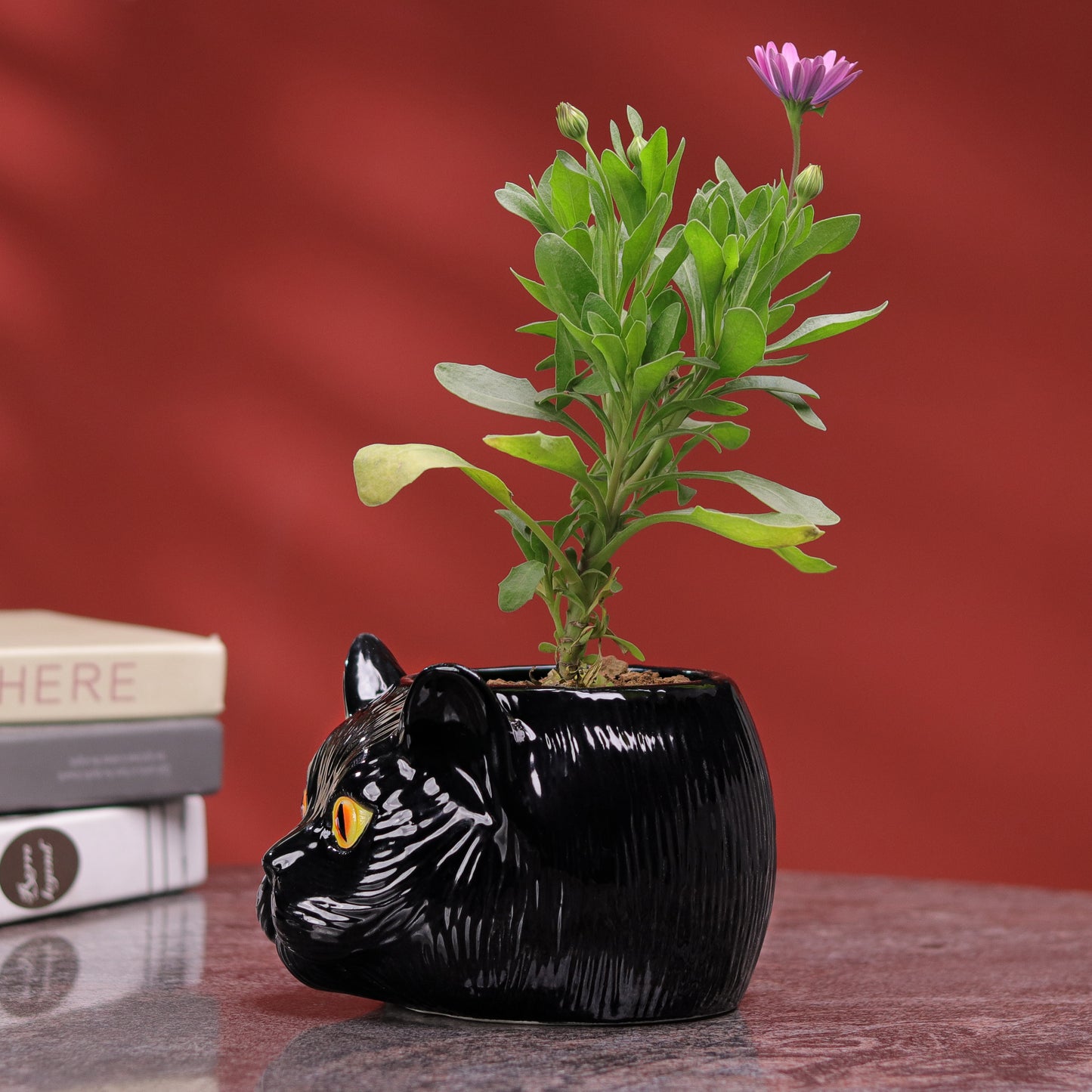 Cat Planter