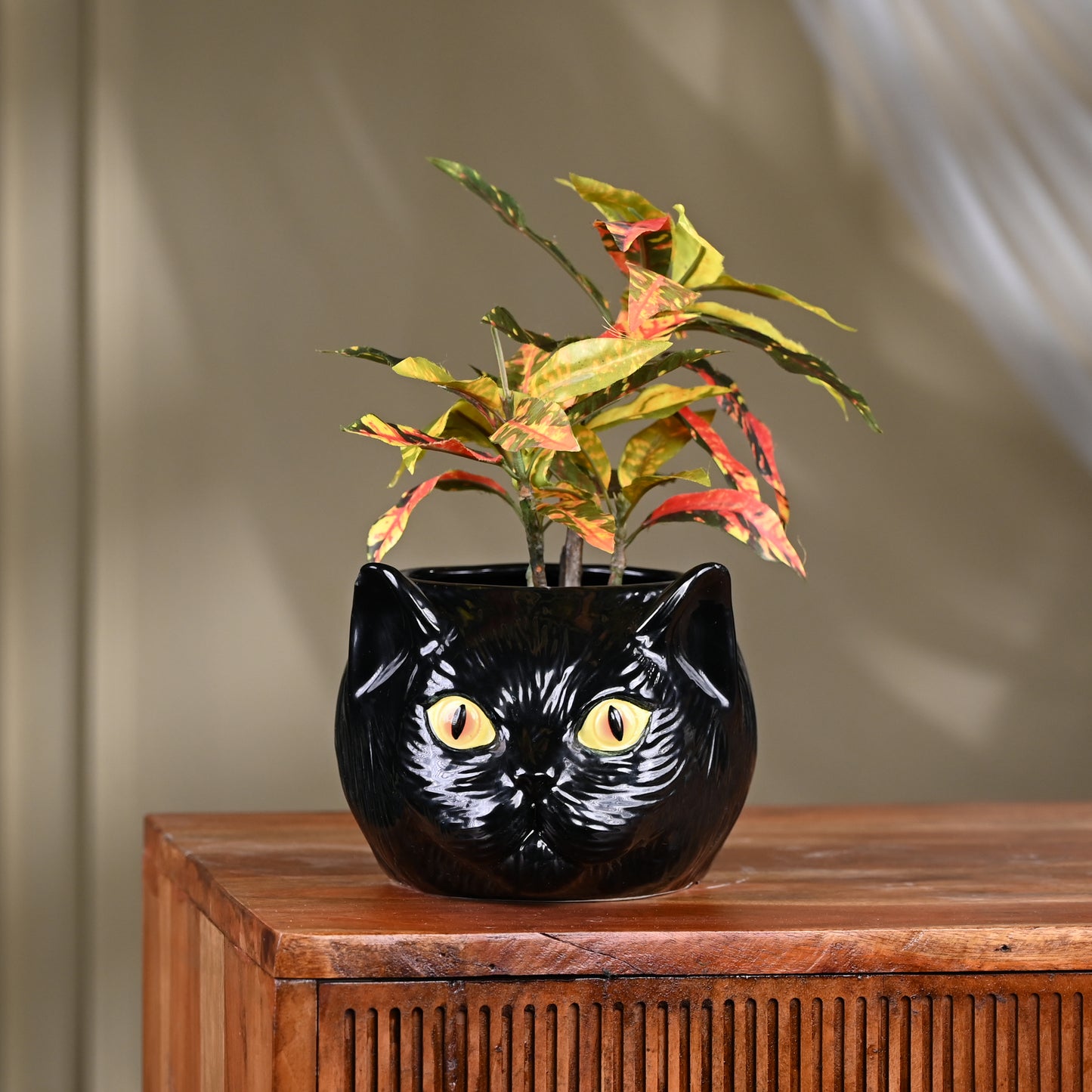 Cat Planter