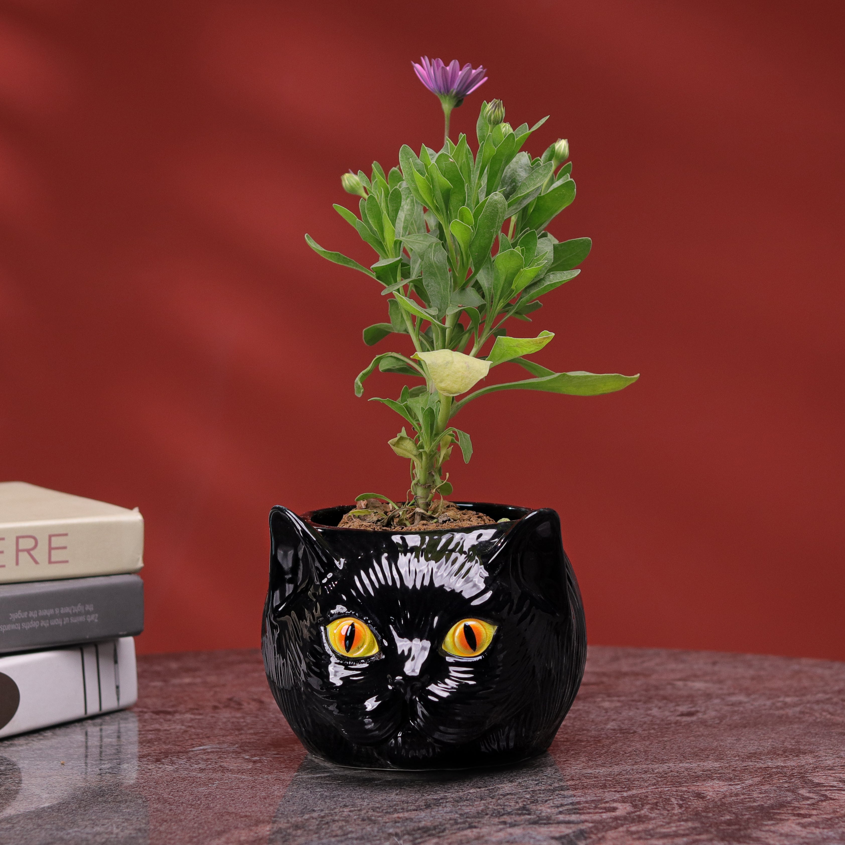 Cat Planter