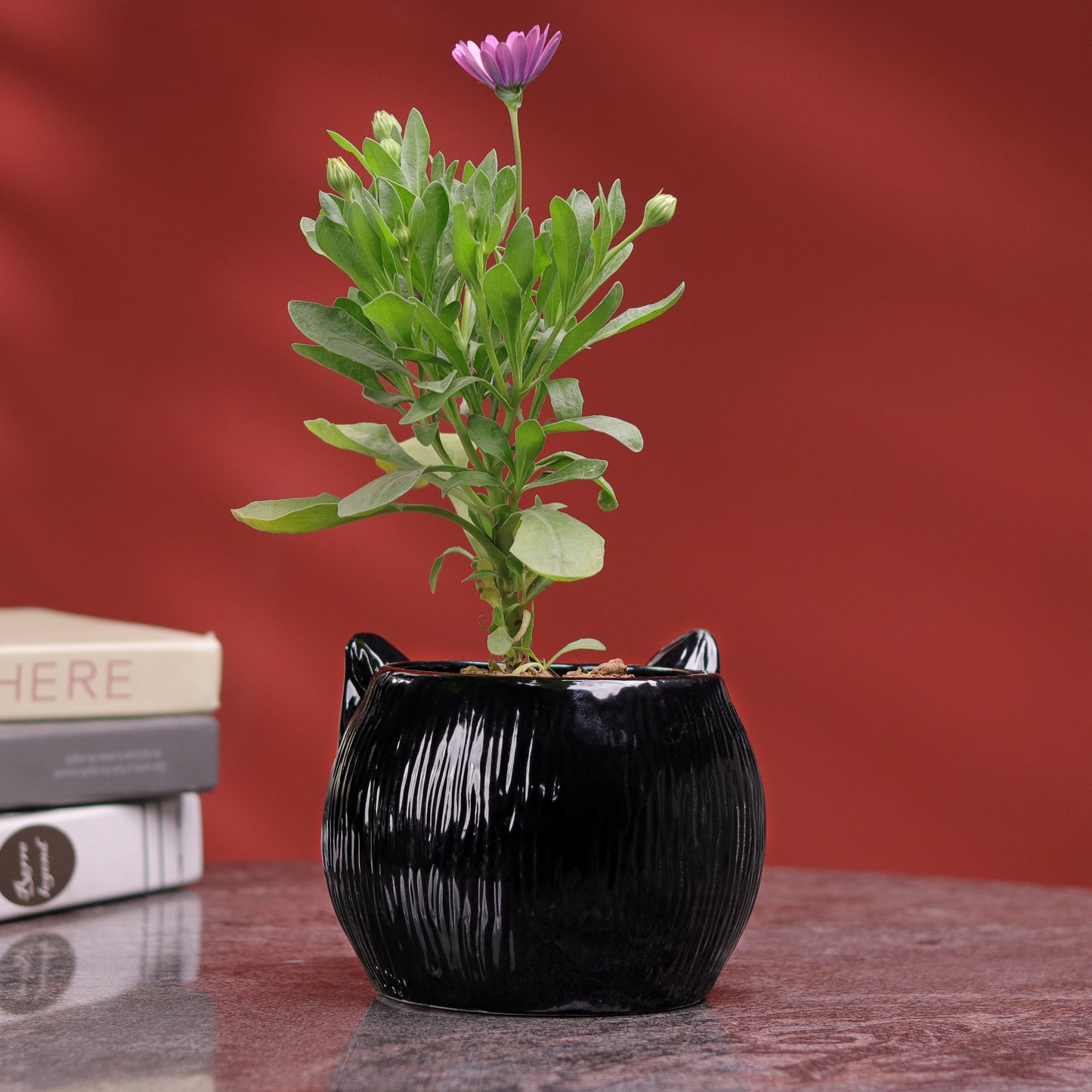 Cat Planter