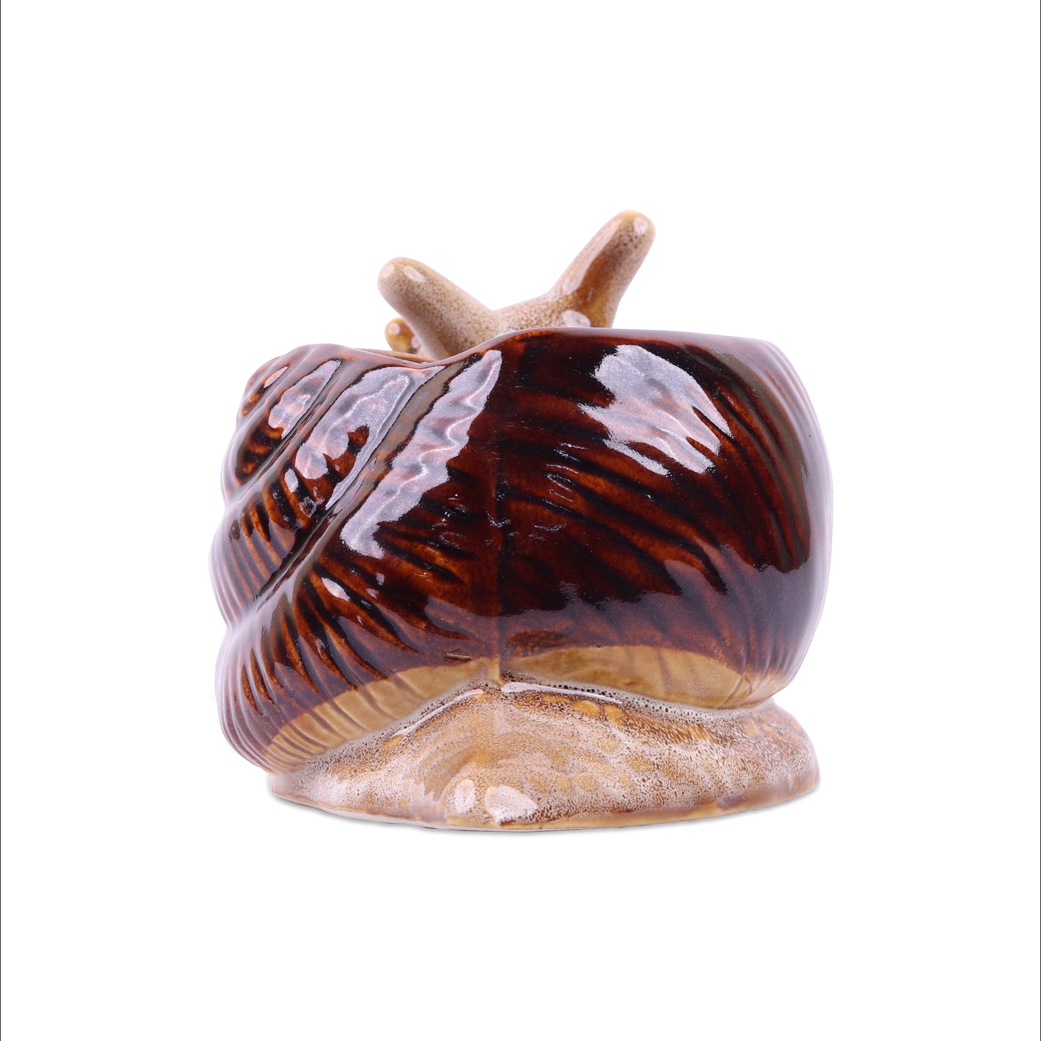 Snail Planter