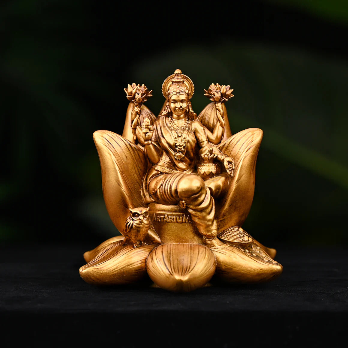 Padma Laxmi Car Dashboard