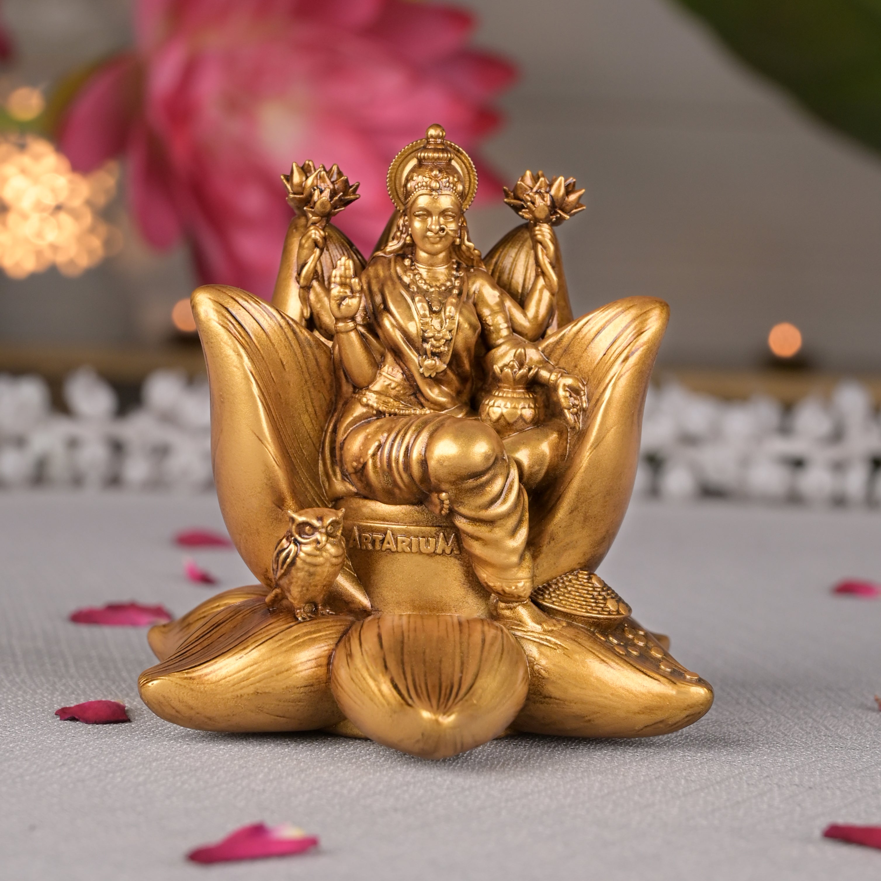 Padma Laxmi Car Dashboard