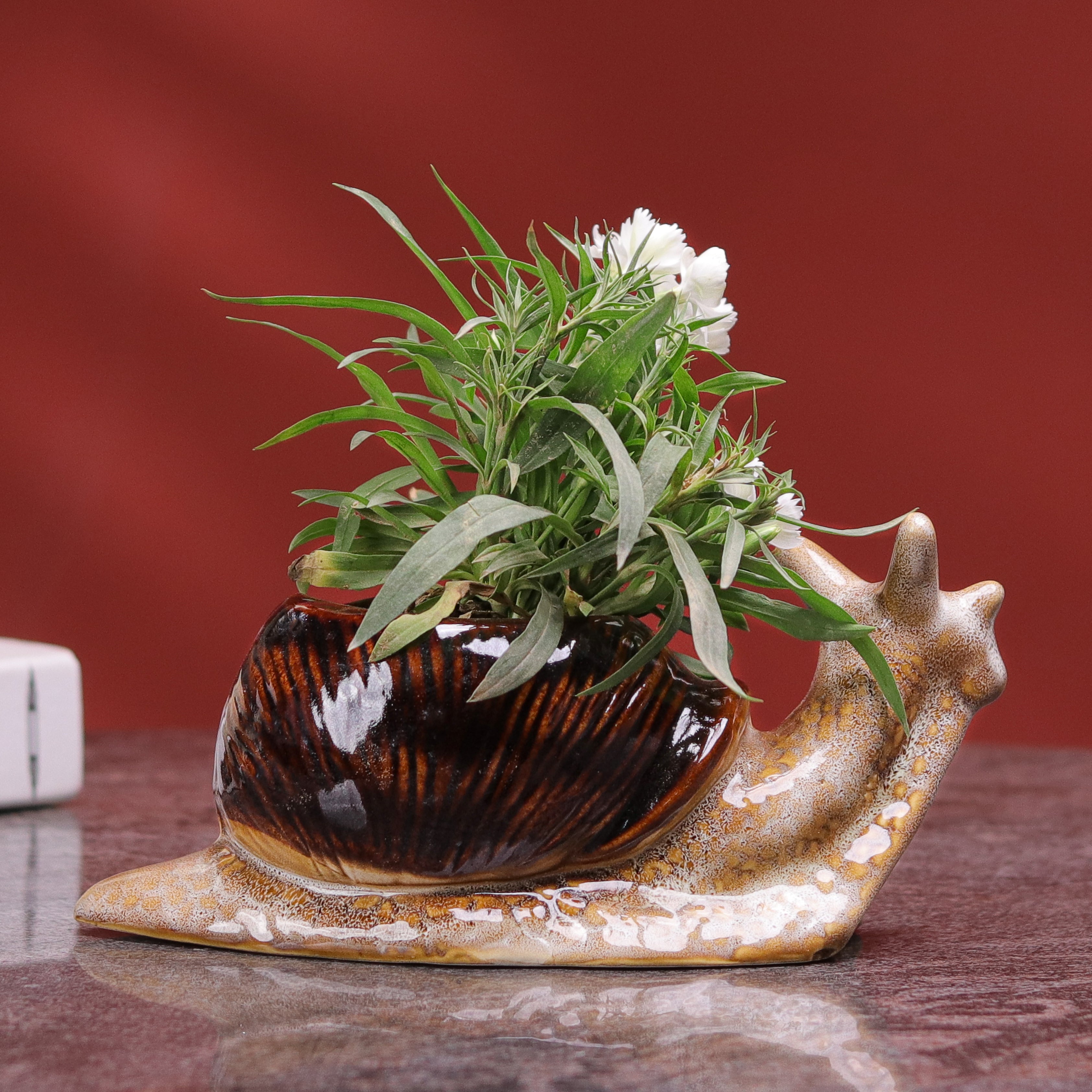 Snail Planter