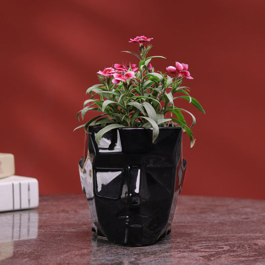 Man Face Planter