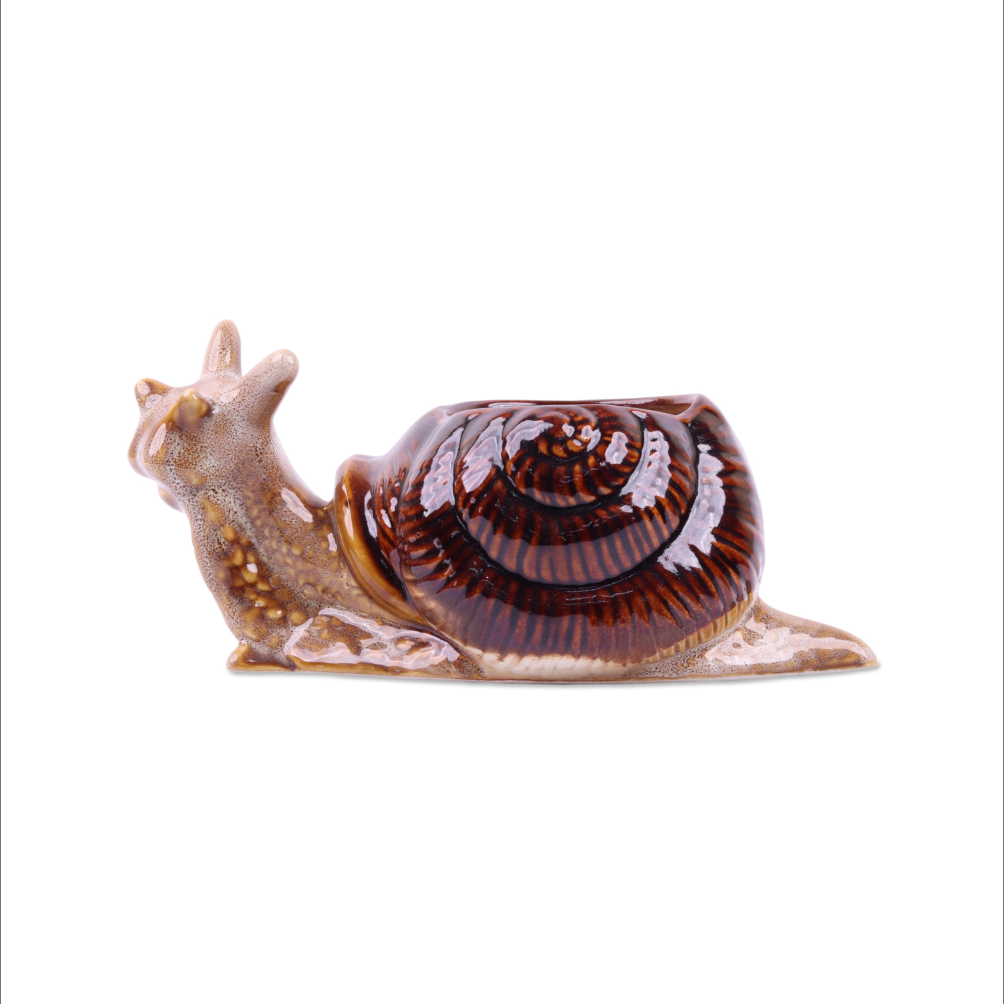 Snail Planter