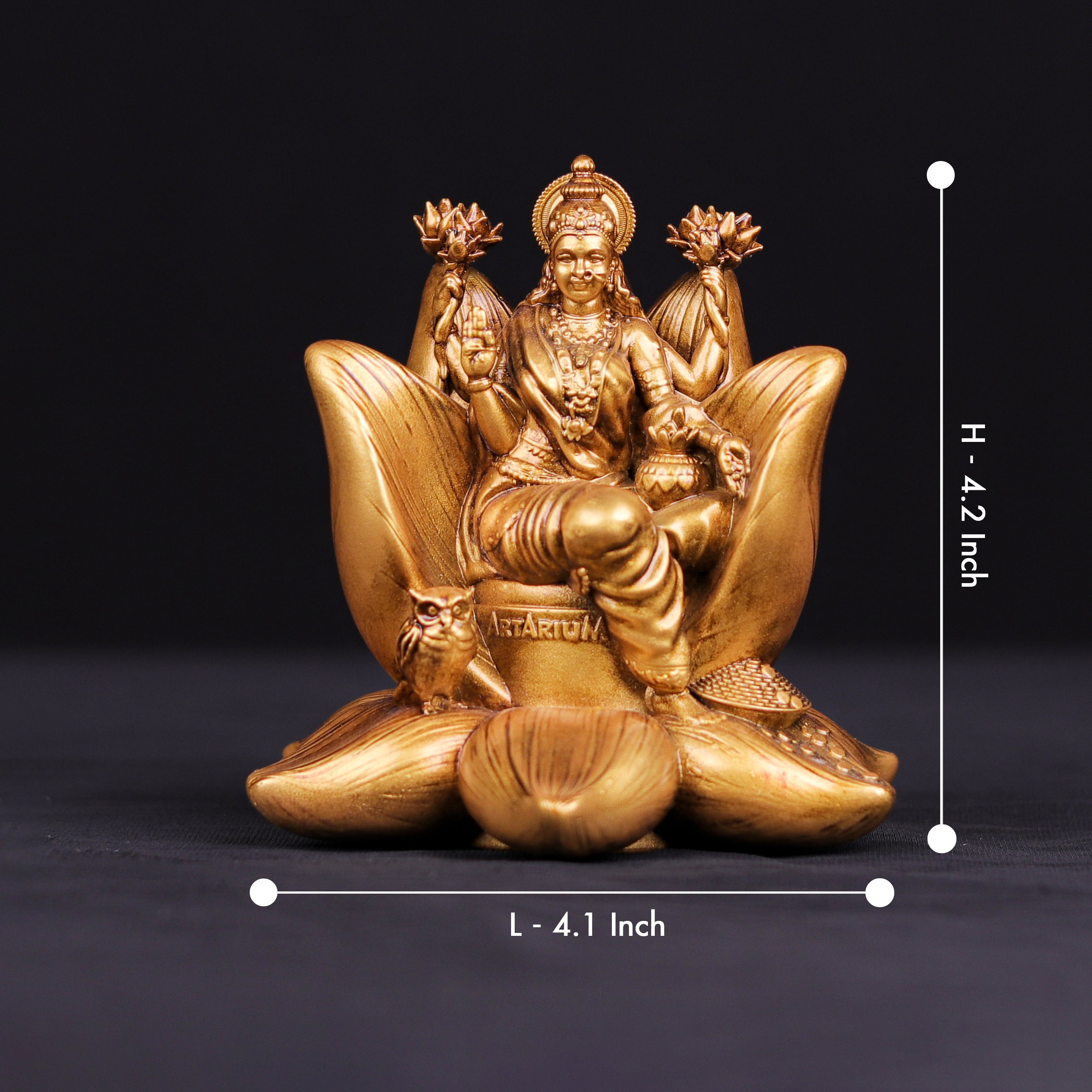 Padma Laxmi Car Dashboard