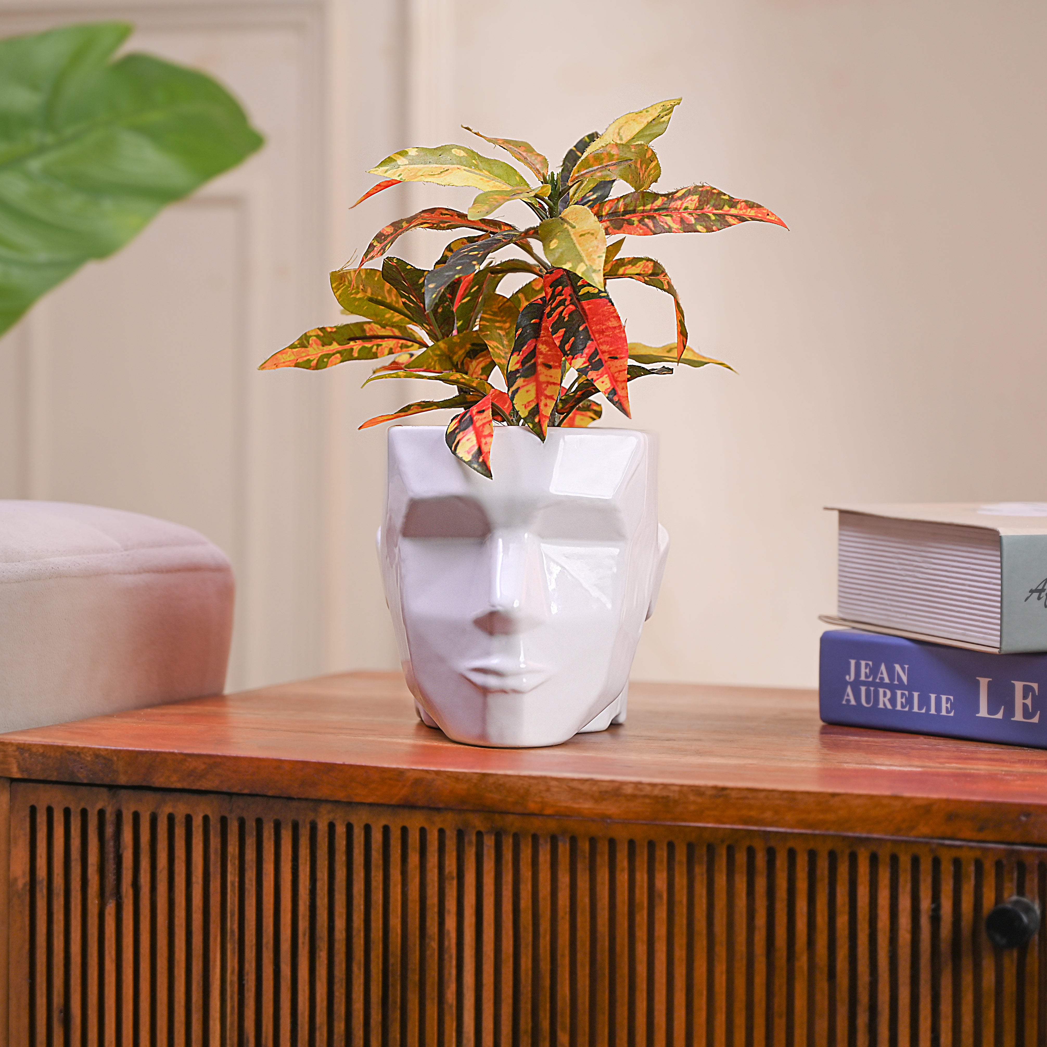 Man Face Planter