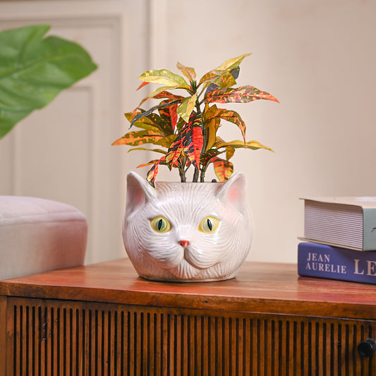 Cat Planter