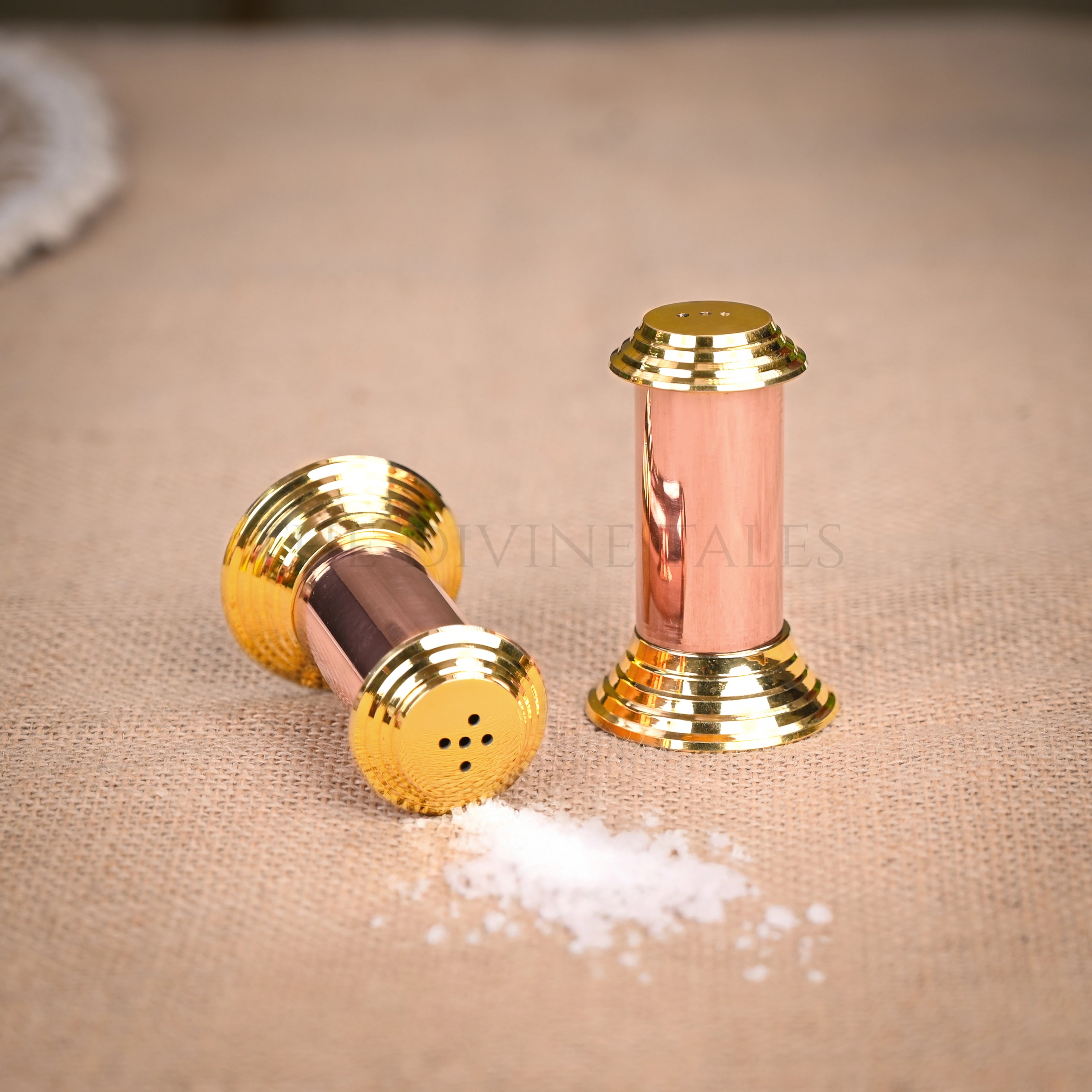 Salt & Pepper Shaker