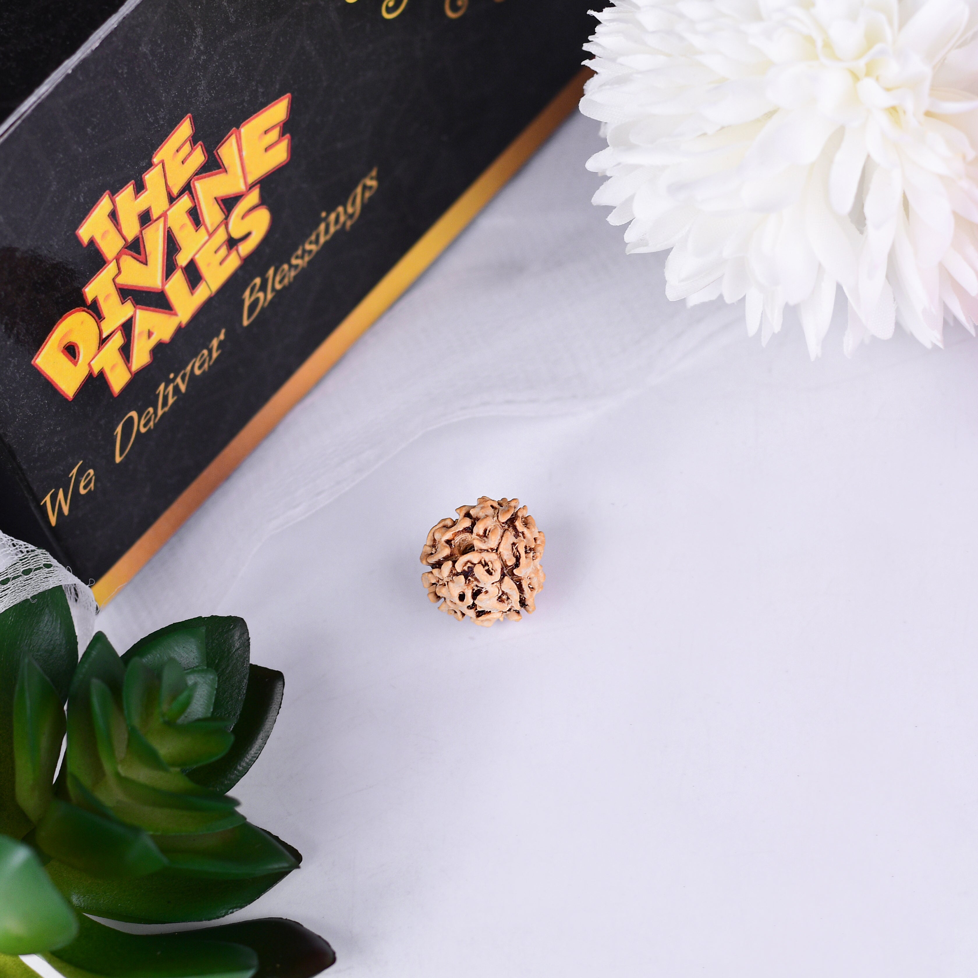 3 Mukhi Rudraksha With Lab Certificate