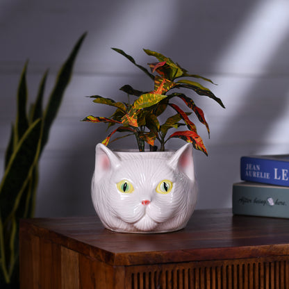 Cat Planter